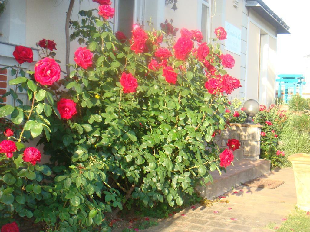 Villa Chanelle Les Rosiers 外观 照片