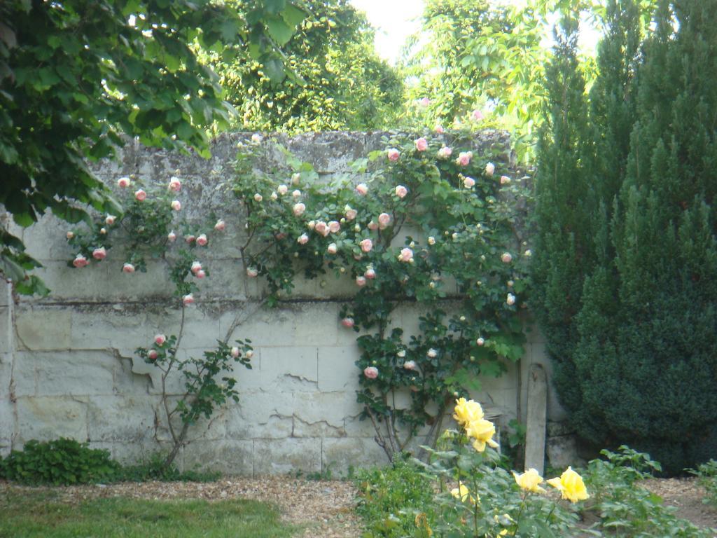 Villa Chanelle Les Rosiers 外观 照片